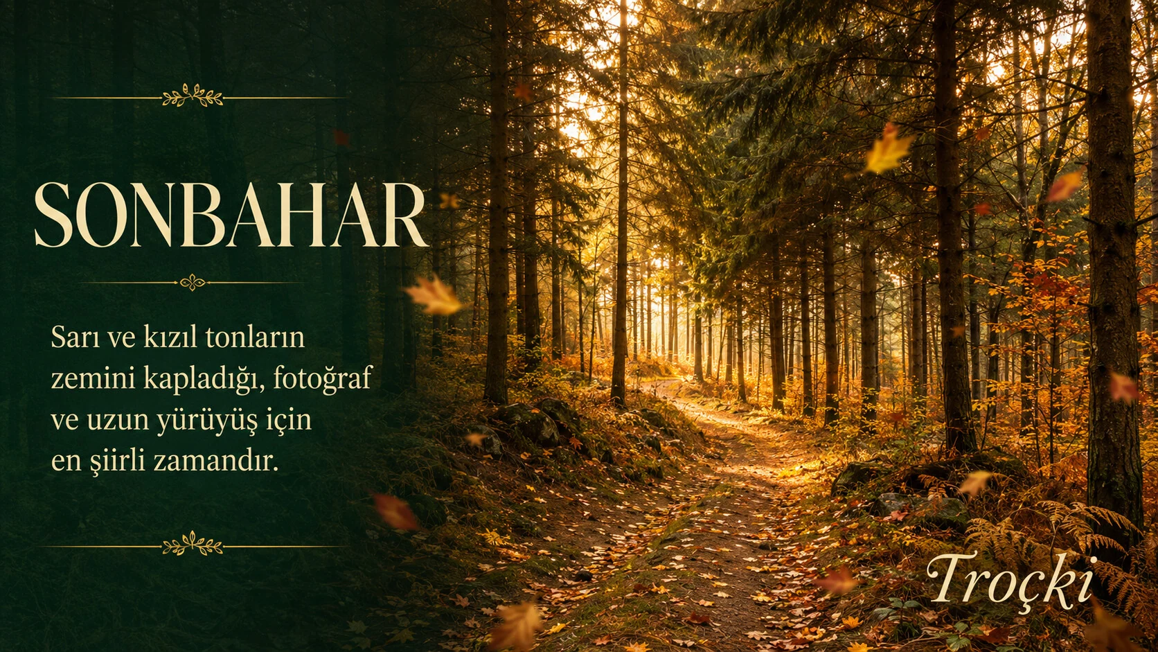 Laladere’de sonbahar — sarı ve kızıl orman yolu